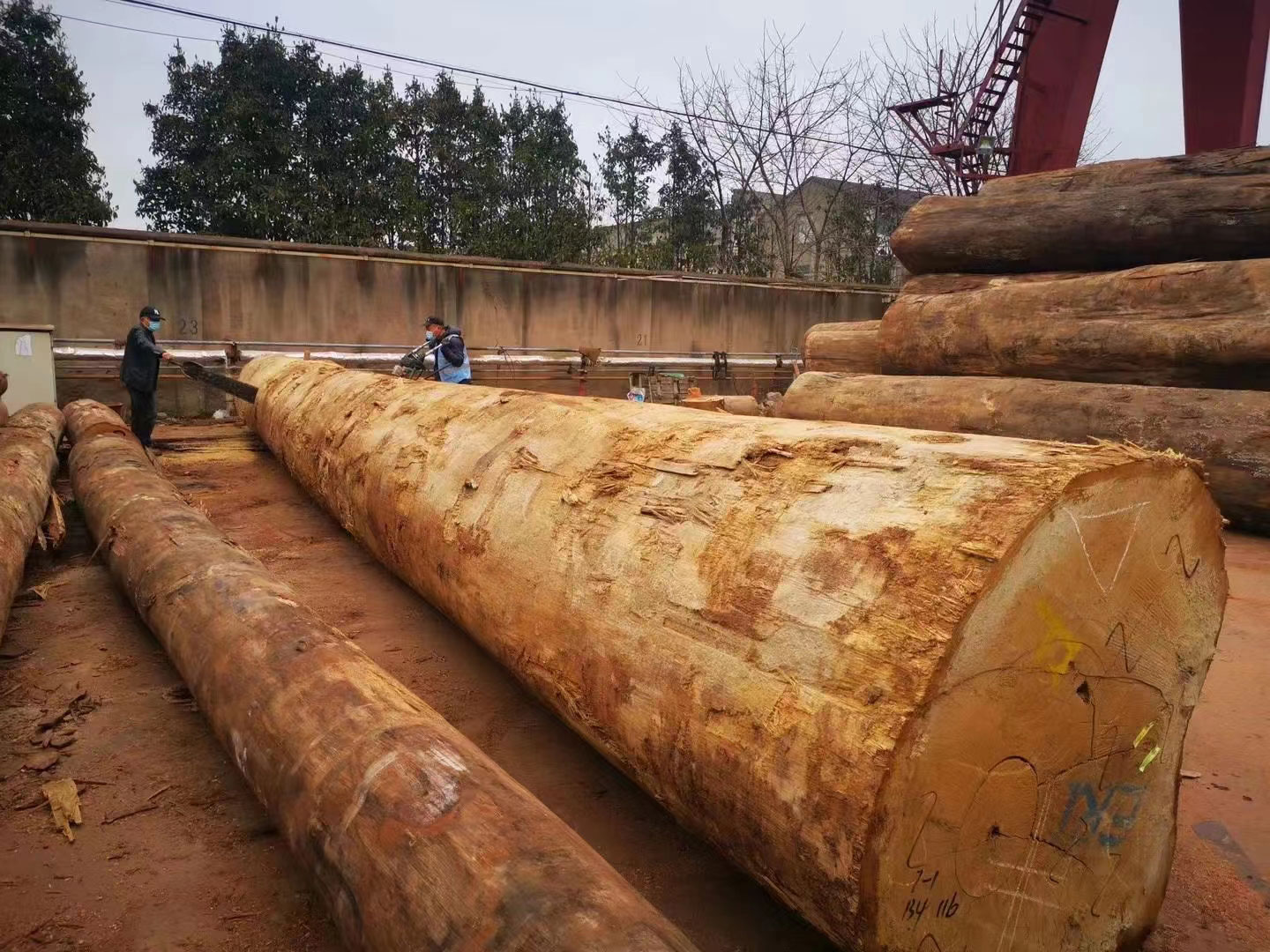 1621395725552528.jpg 微信图片_20210519111955a.jpg