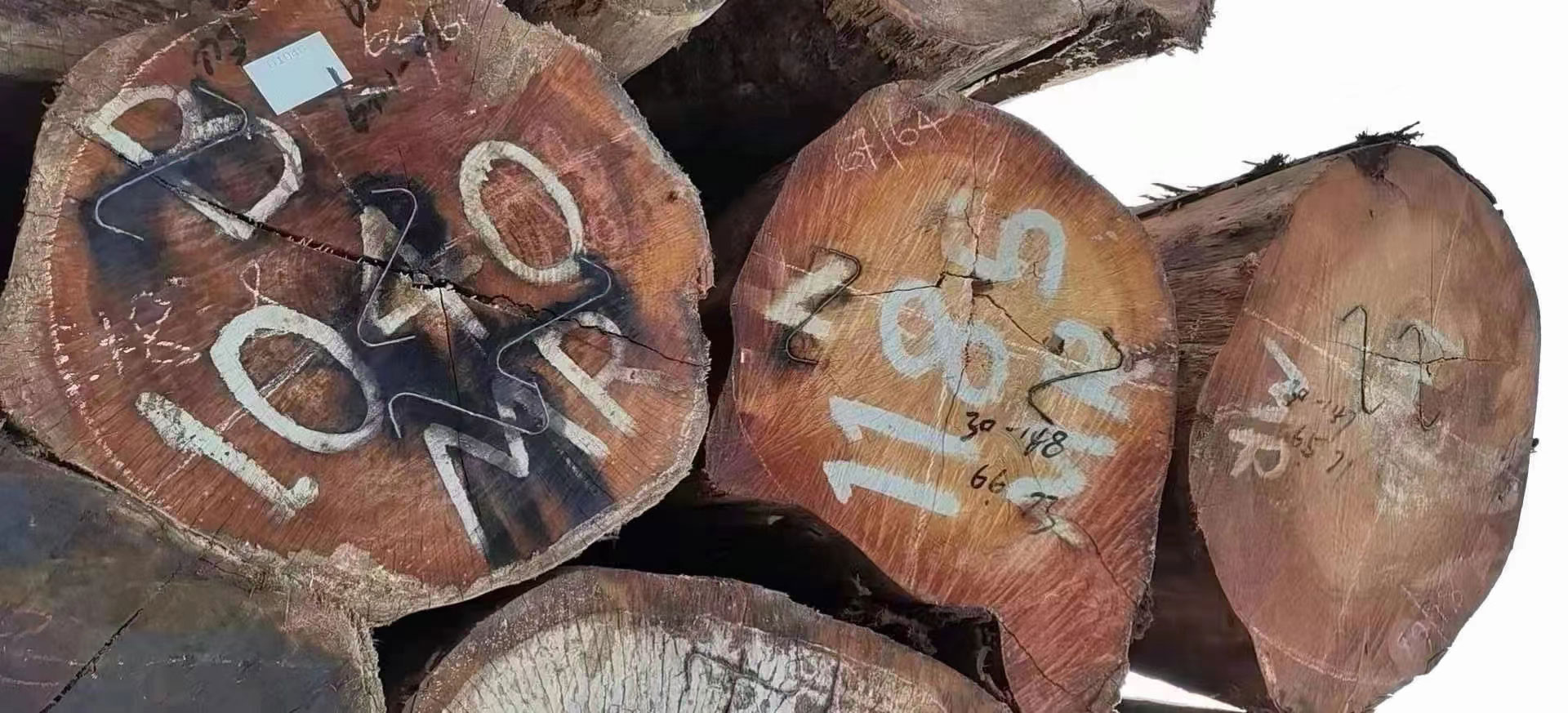 1621395737107678.jpg 微信图片_20210519111943a.jpg