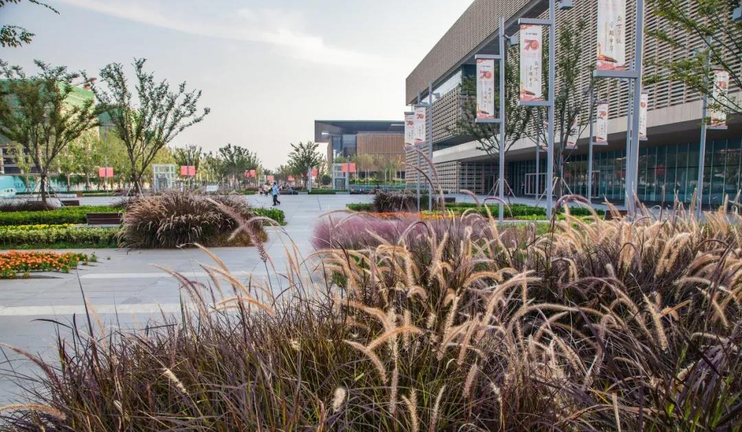 1627284637837914.jpg 微信图片_20210726145727.jpg