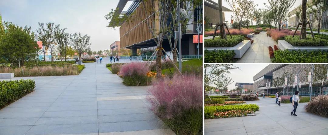 1627284659259998.jpg 微信图片_20210726145730.jpg