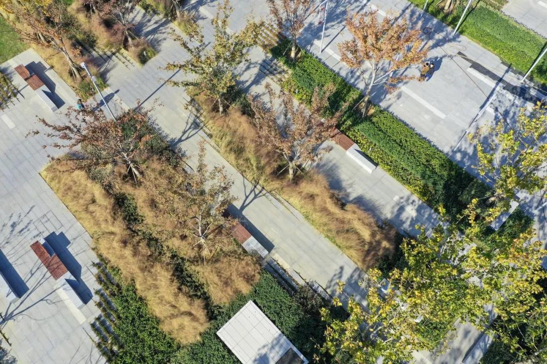 1627284719471370.jpg 微信图片_20210726145745.jpg