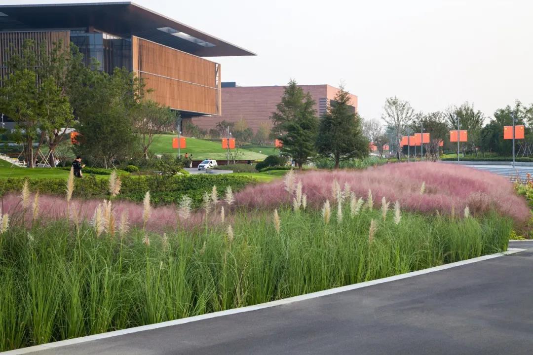 1627284774332678.jpg 微信图片_20210726145802.jpg