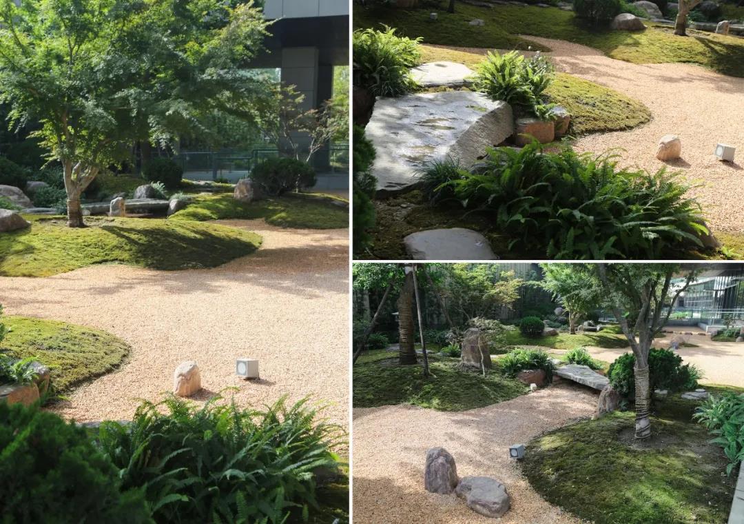 1627285539130717.jpg 微信图片_20210726145830.jpg