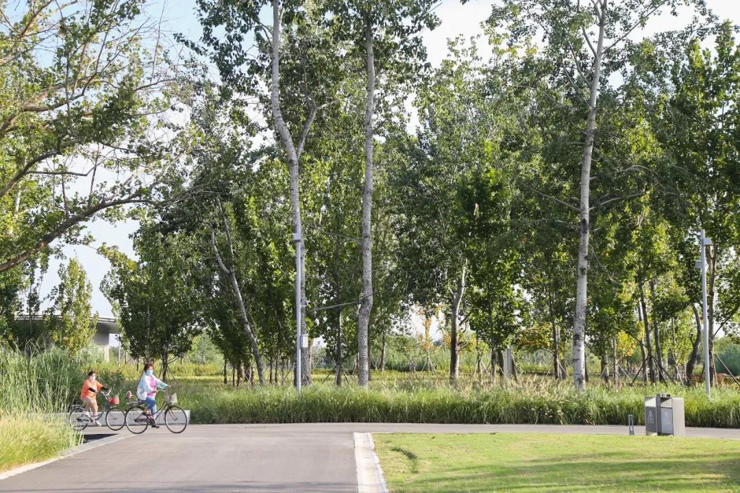 1627285851736876.jpg 微信图片_20210726145914.jpg