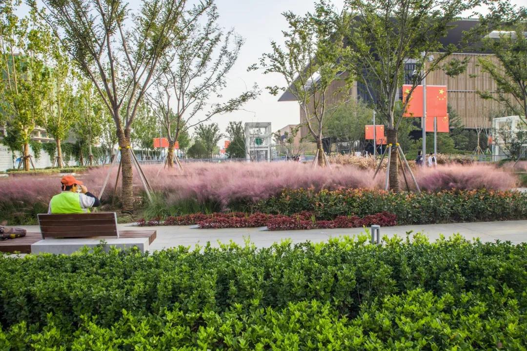 1627286253946914.jpg 微信图片_20210726145959.jpg