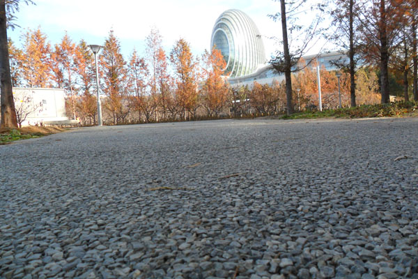 1639564601656062.jpg 33.jpg