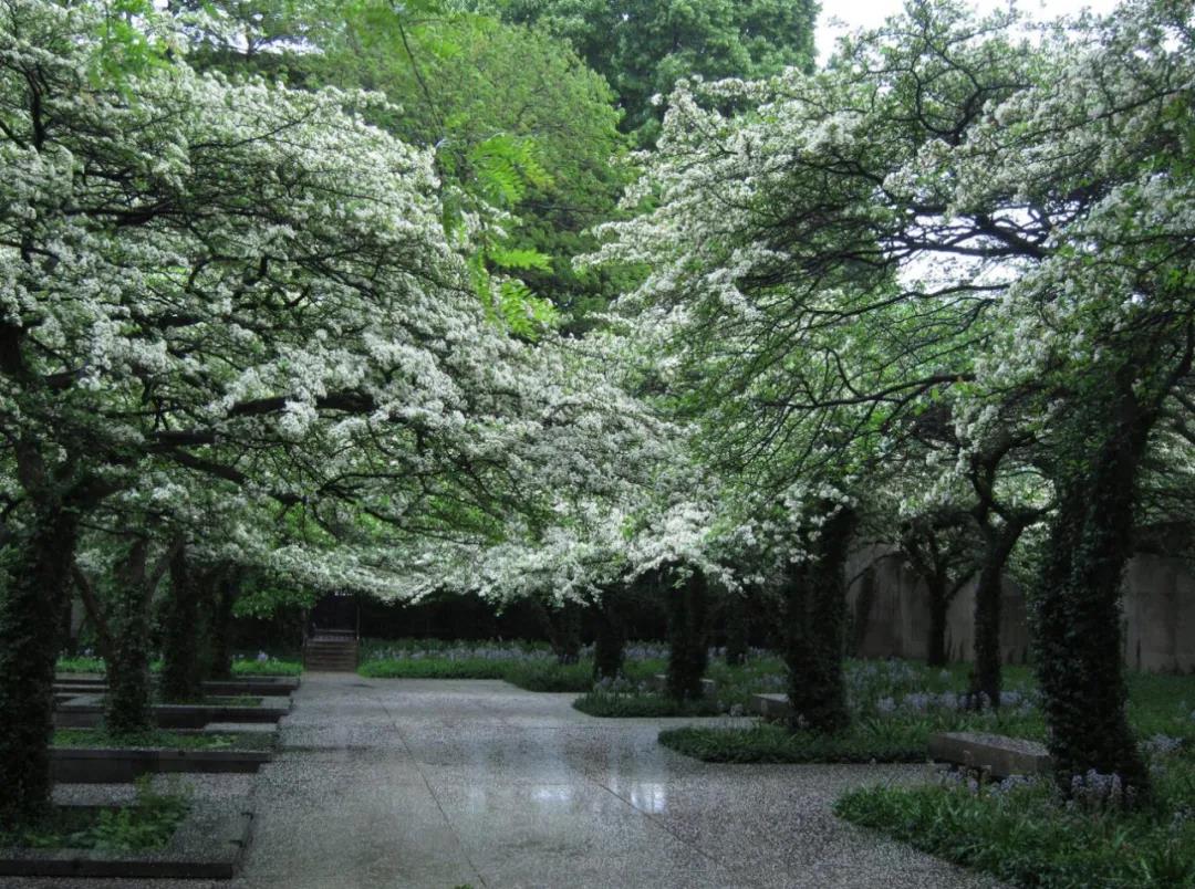 1643356776945020.jpg 微信图片_20220128154628.jpg