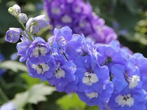 1644202783106589.jpg 微信截图_20220207104606a.jpg