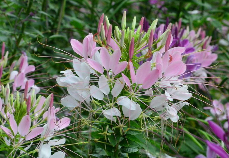 1644305713127516.jpg 微信截图_20220208145939a.jpg