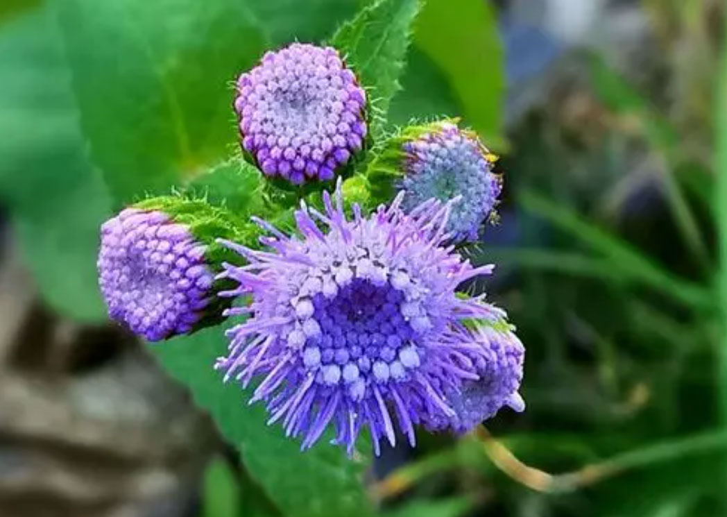 1644476173547536.jpg 微信截图_20220210143133a.jpg