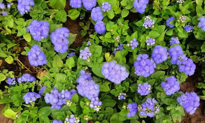 1644476313580972.jpg 微信截图_20220210143421a.jpg