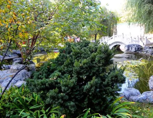 1644648889623186.jpg 微信截图_20220212145139a.jpg