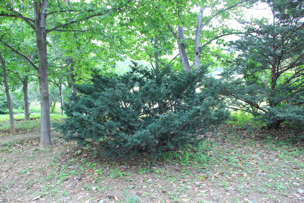 1644648988407080.jpg IMG_8646a.jpg