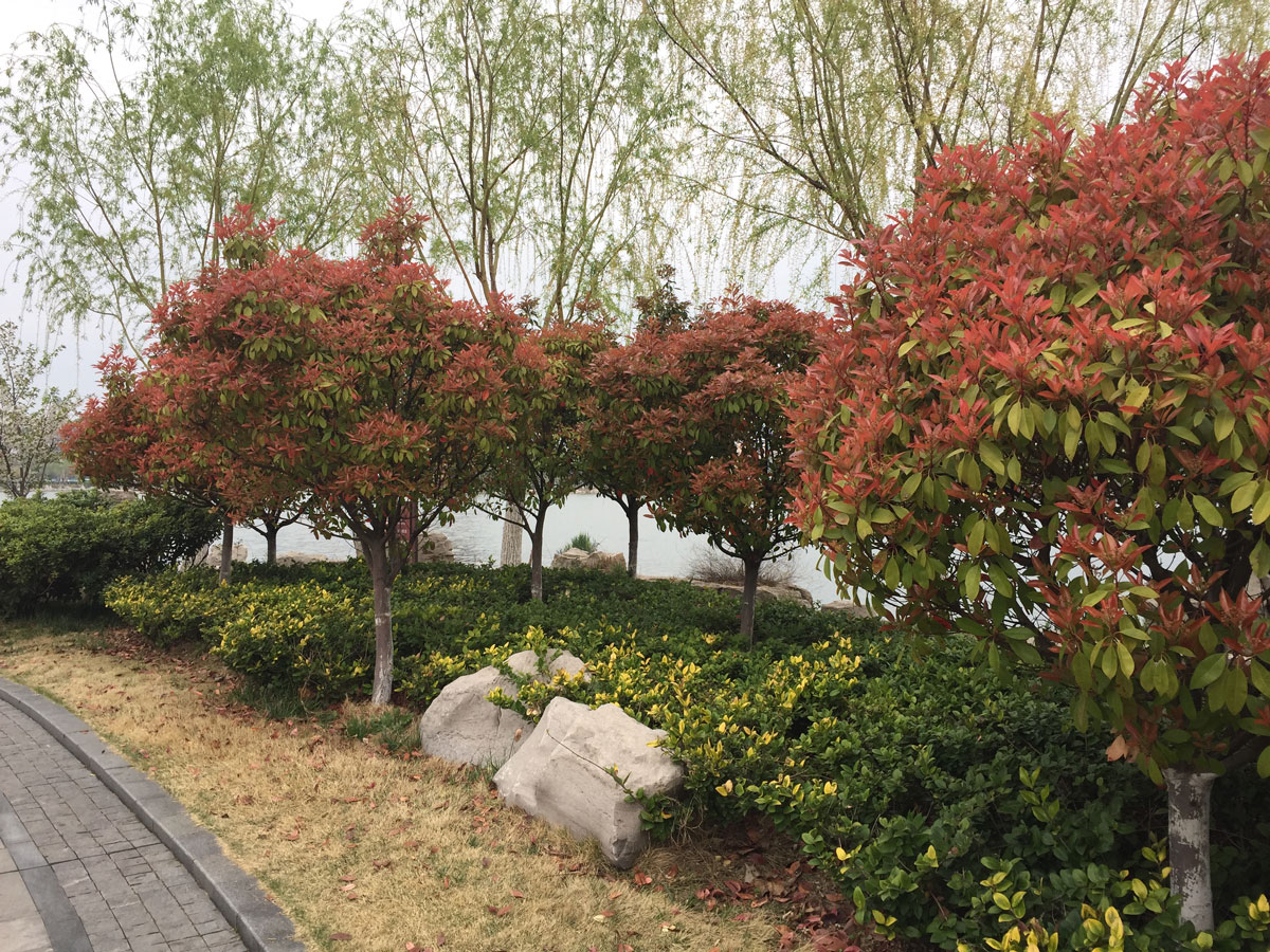 1644655426467066.jpg IMG_9534a.jpg