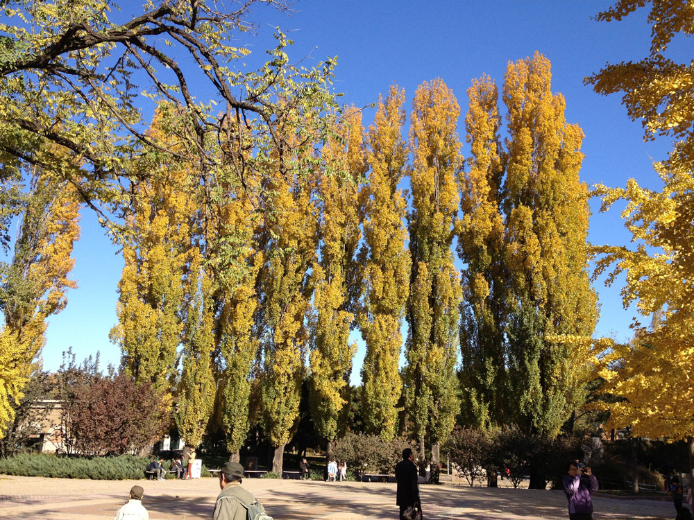 1644737425812396.jpg IMG_2885a.jpg