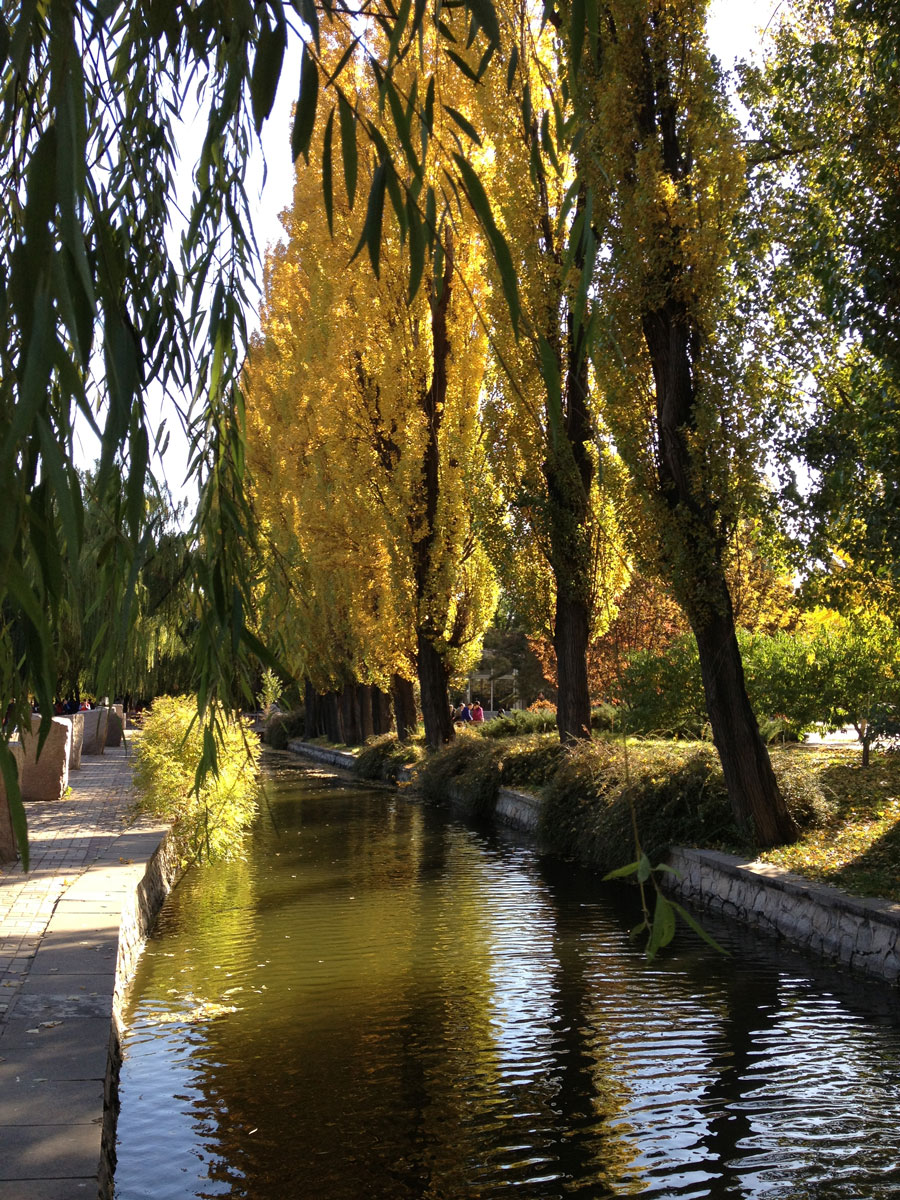 1644737436806587.jpg IMG_2922a.jpg