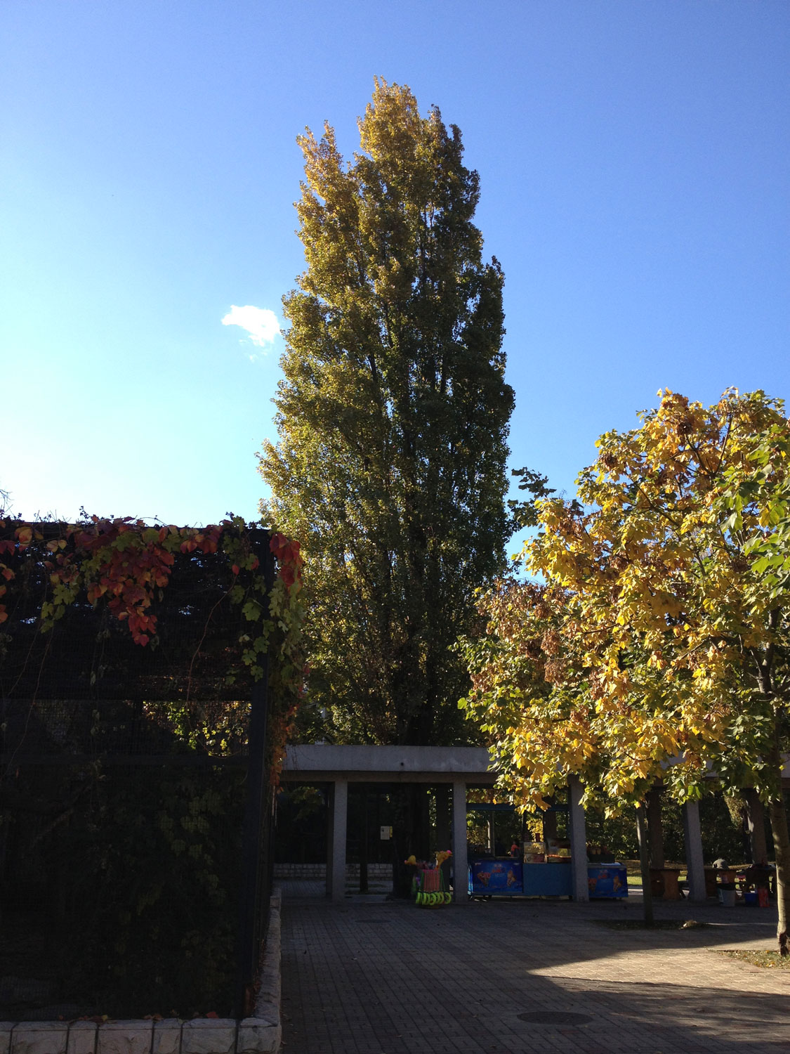 1644737447134964.jpg IMG_2888a.jpg