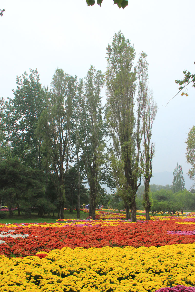 1644737497309398.jpg IMG_8502a.jpg