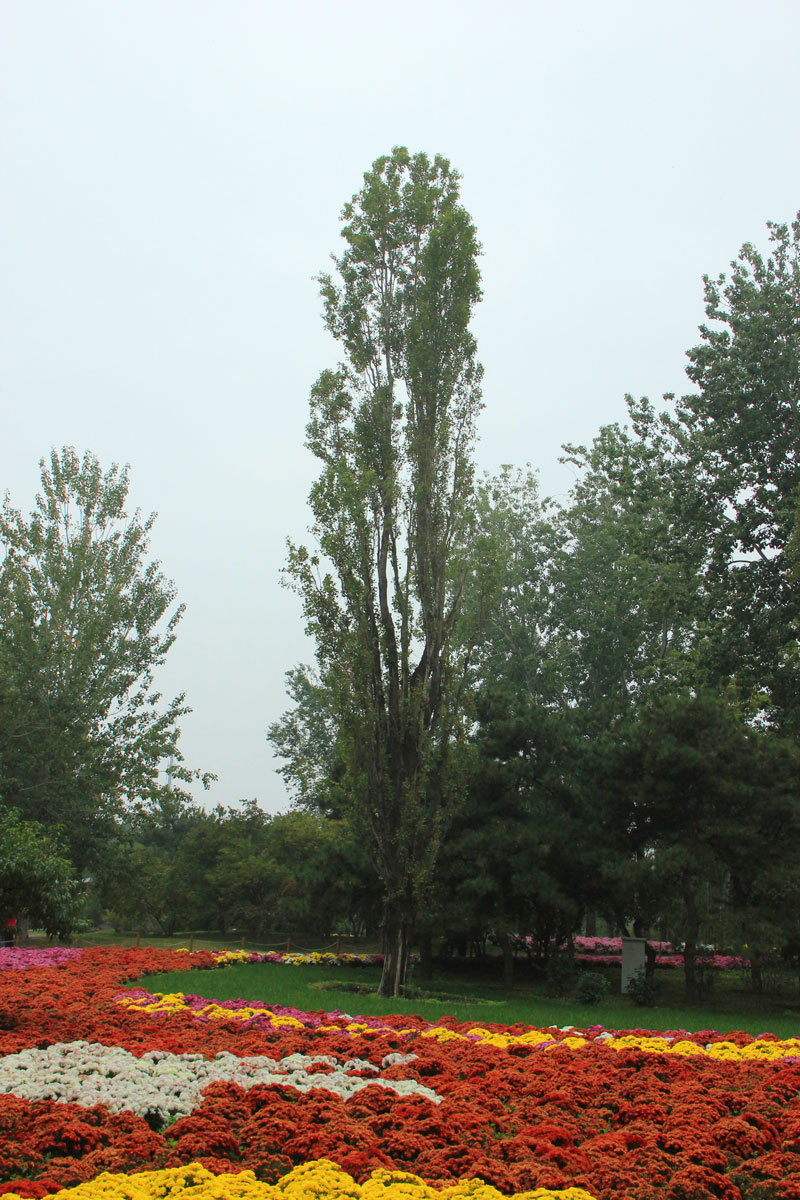 1644737505500072.jpg IMG_8504a.jpg