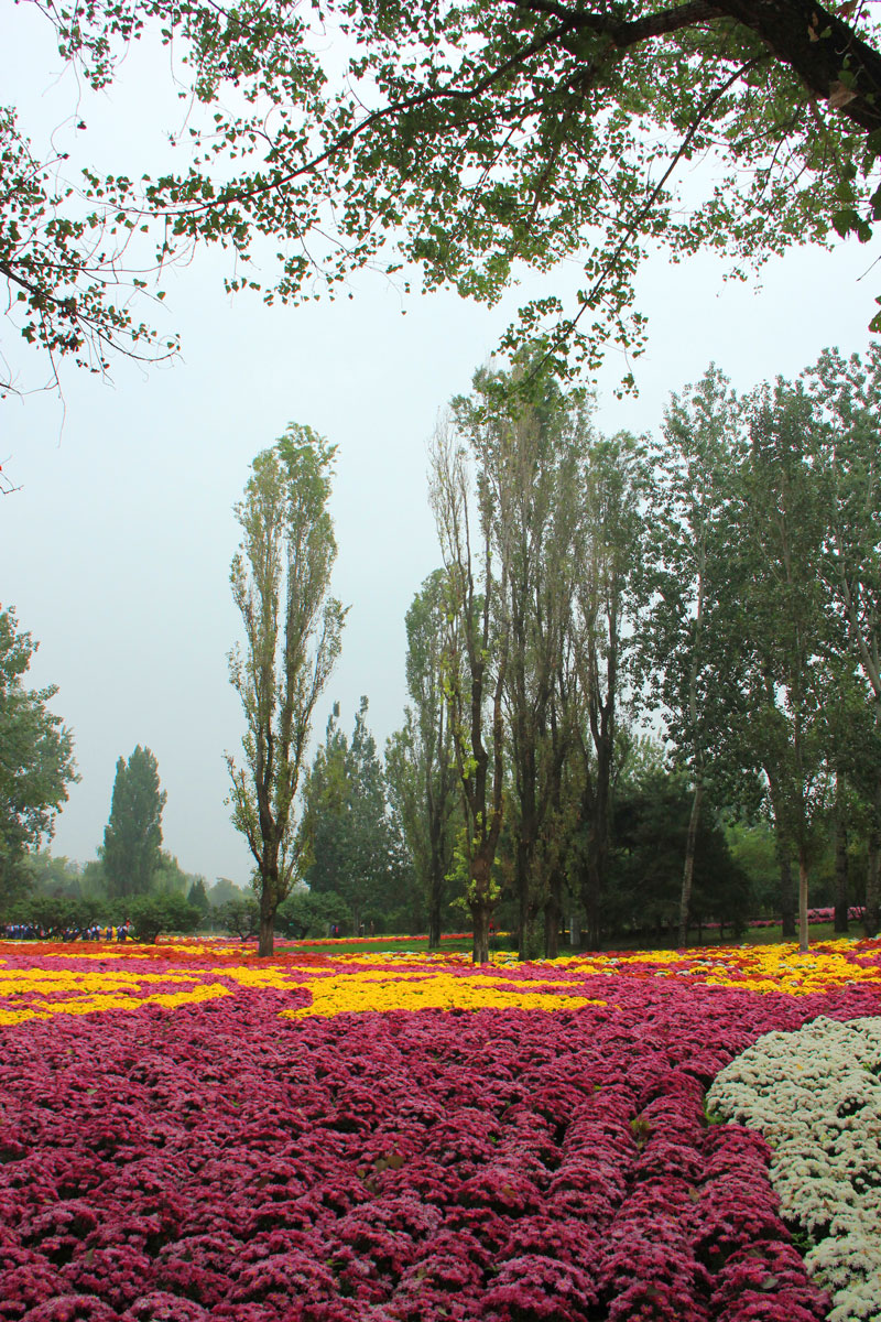 1644737514505322.jpg IMG_8507a.jpg