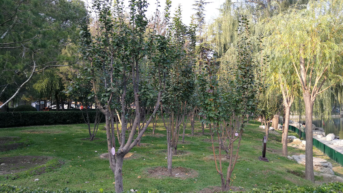 1645430670801036.jpg IMG_20191104_141943a.jpg