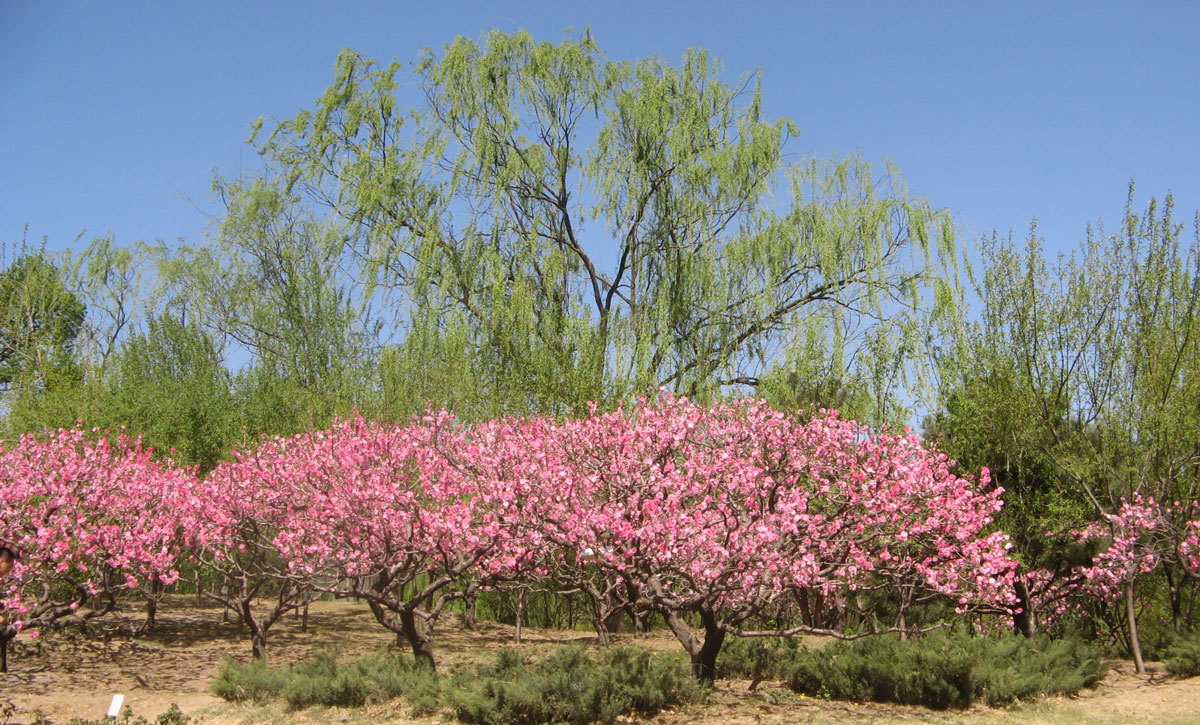 1645591462133613.jpg IMG_7564a.jpg