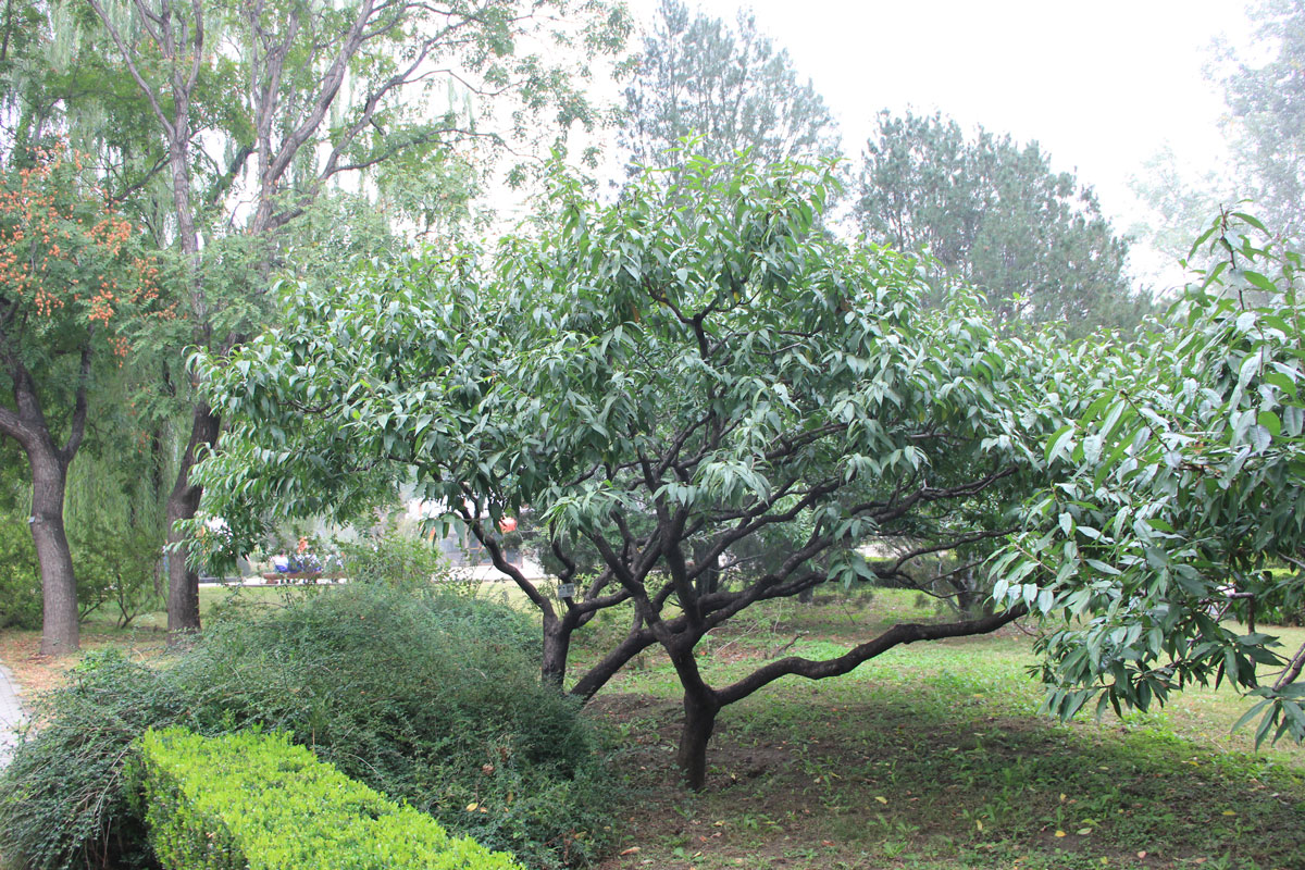 1645591472394859.jpg IMG_8472a.jpg