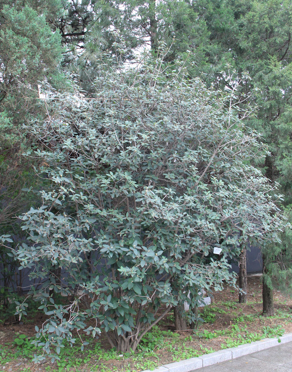 1646385858510055.jpg IMG_8551a.jpg