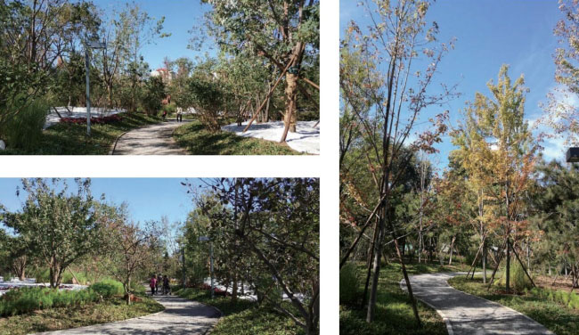 1651371987995066.jpg 微信图片_20220501095330a.jpg