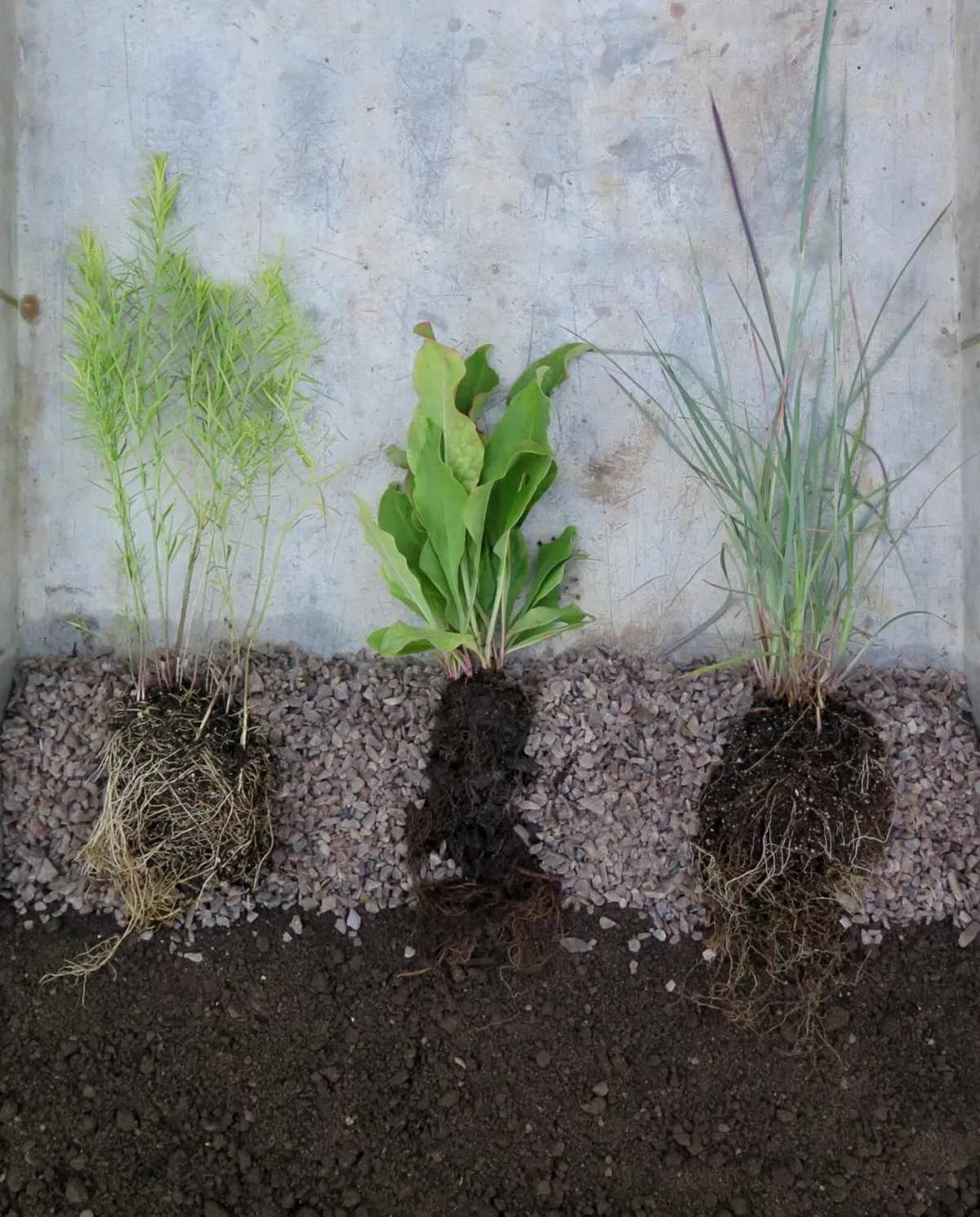 1656491506107811.jpg 02.jpg