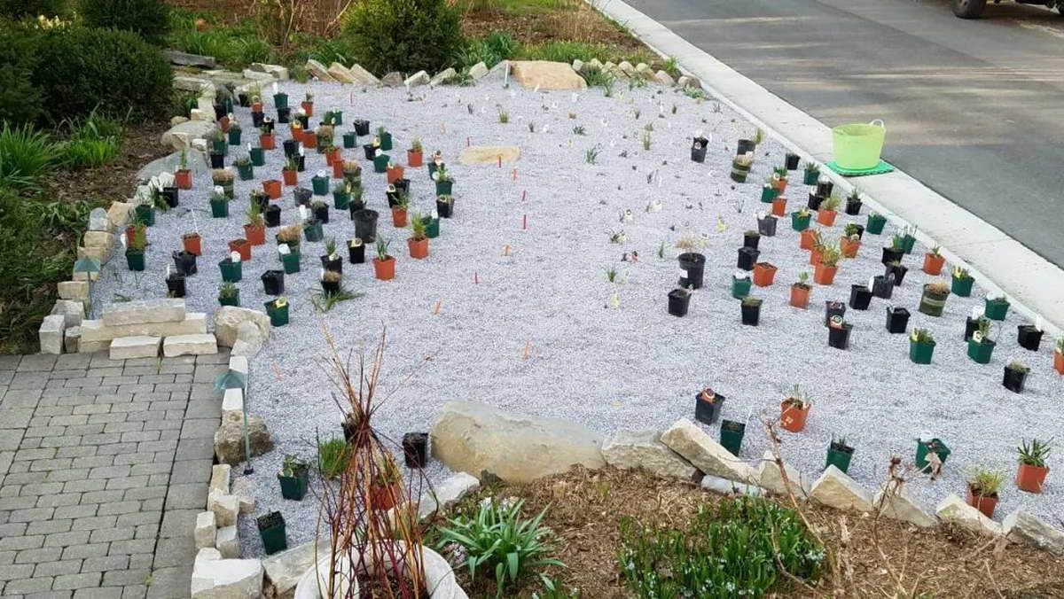 1656492302115032.jpg 12.jpg