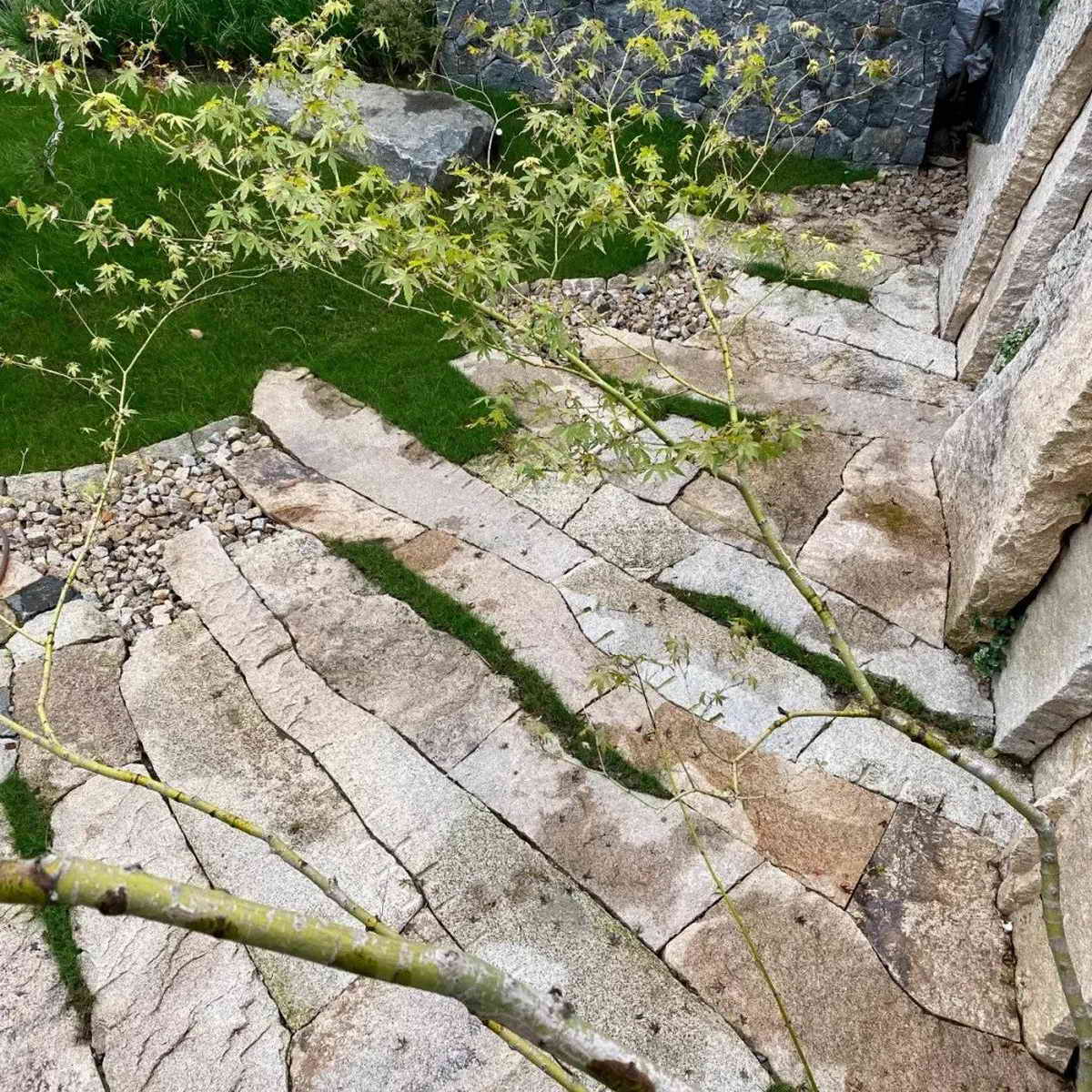 1667469409104610.jpg 1667469401527096.jpg