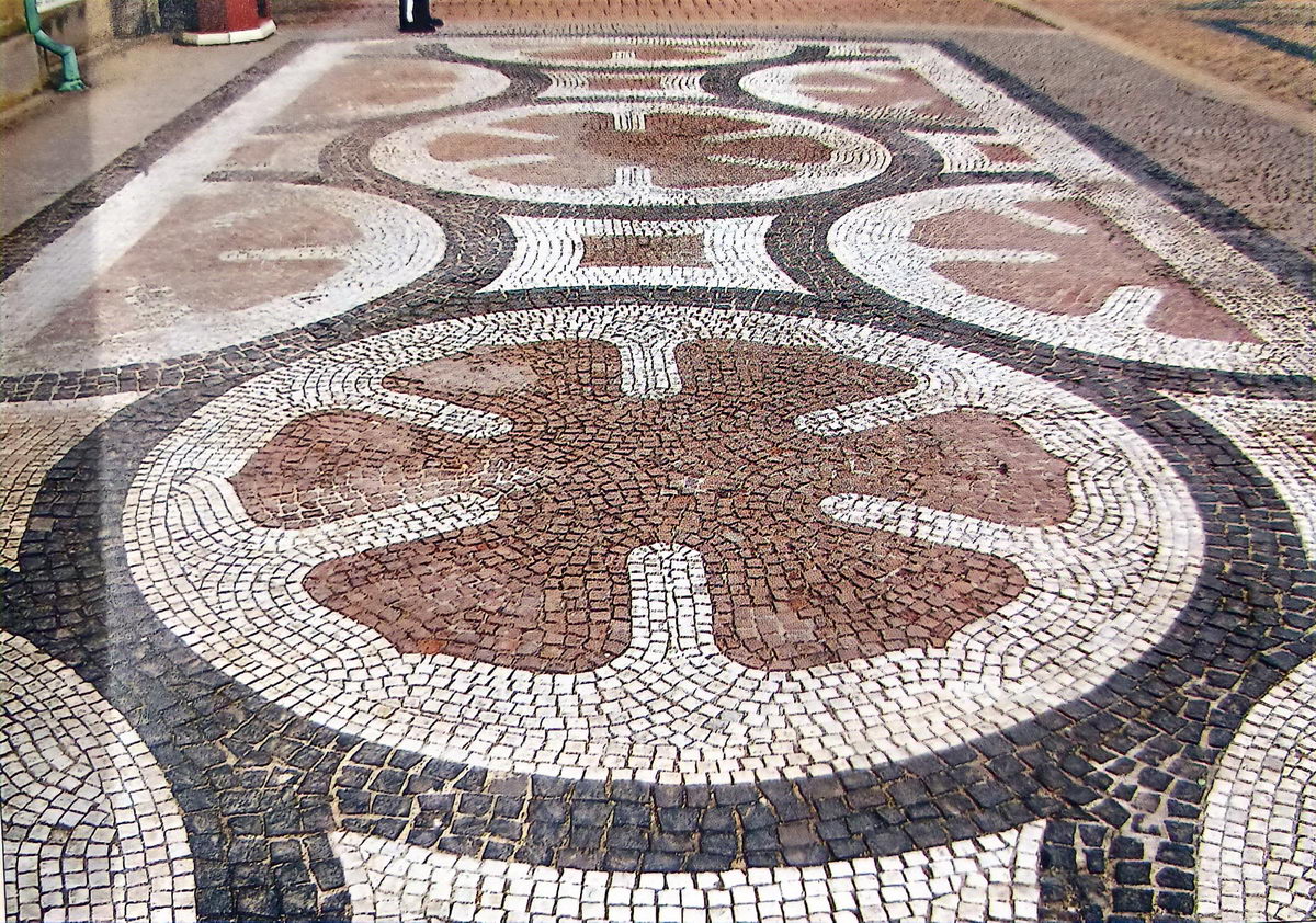 1718353125580803.jpg 形态03.jpg