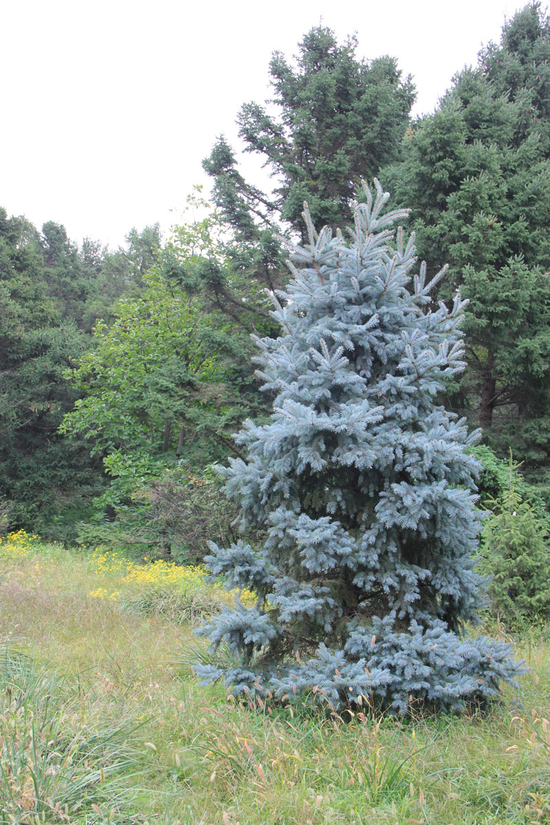 1644646248209134.jpg IMG_8596a.jpg