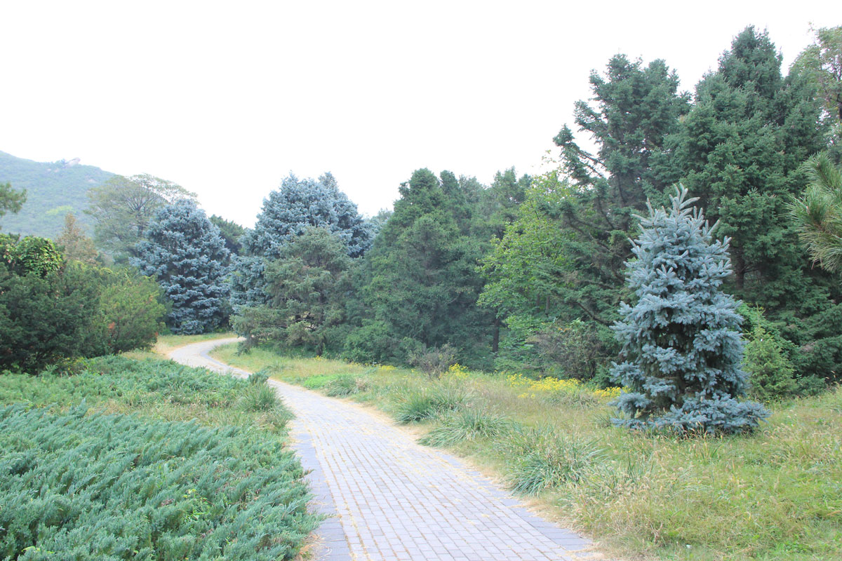 1644646276138045.jpg IMG_8595a.jpg