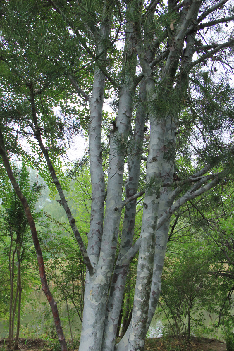 1644645733147943.jpg IMG_8487a.jpg