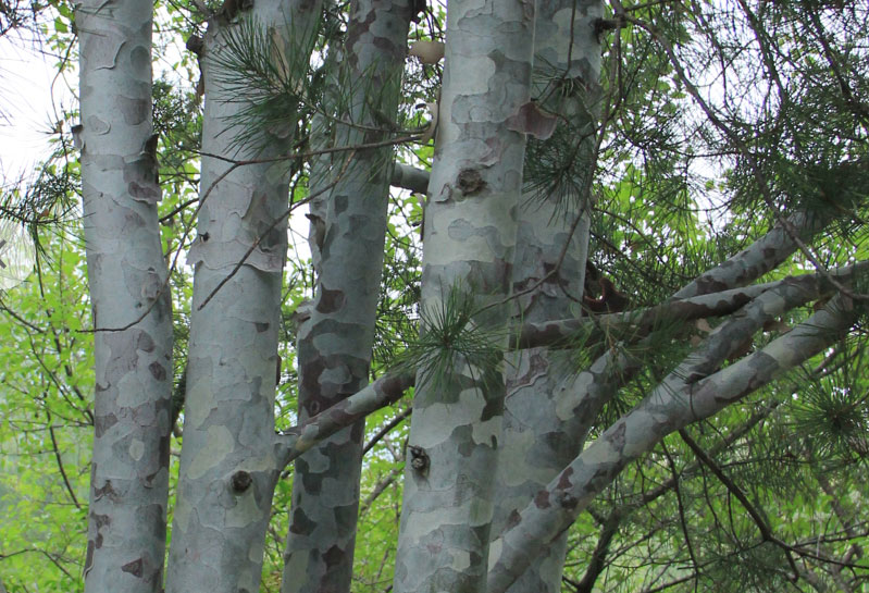 1644645721256469.jpg 微信截图_20220212135753a.jpg