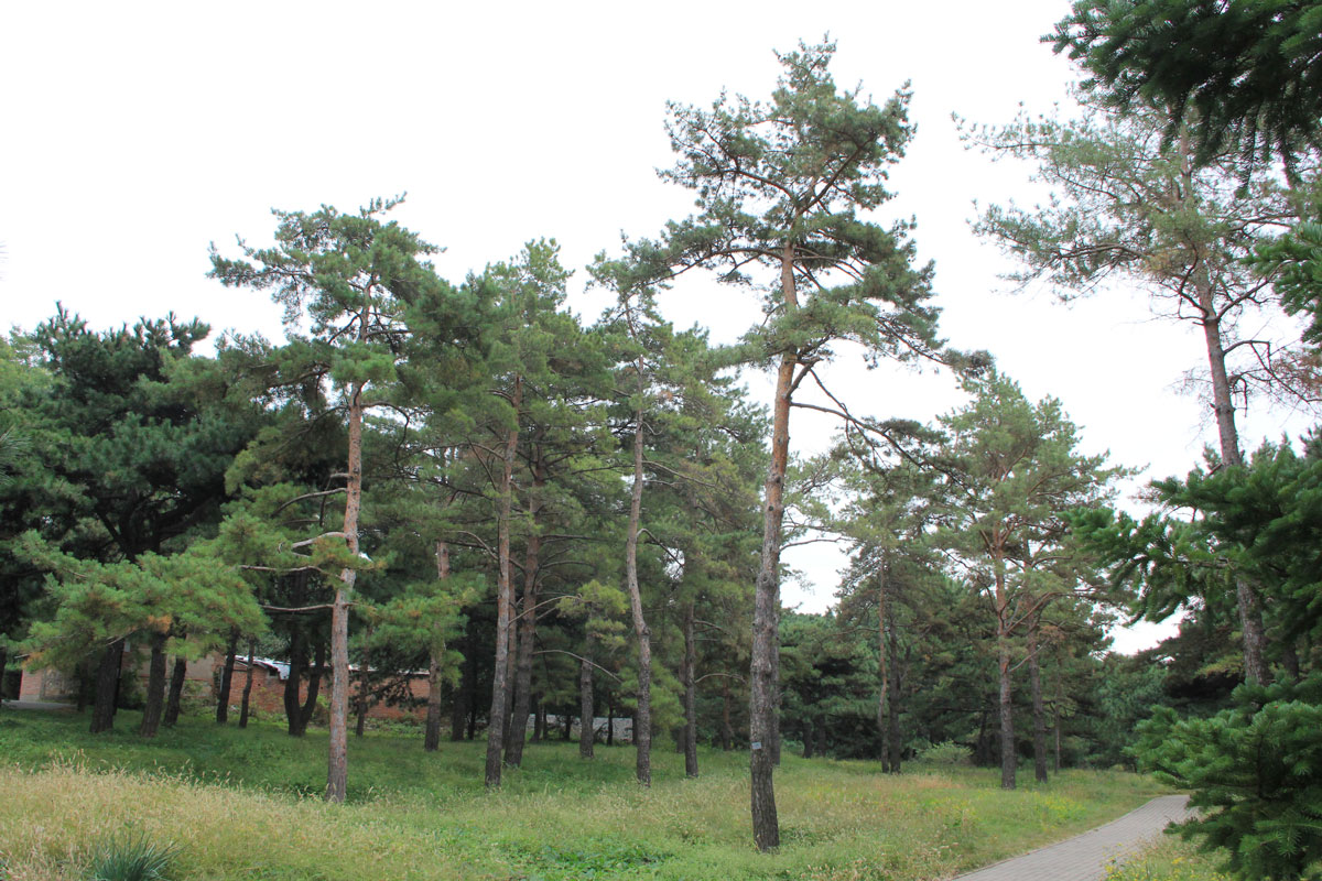 1644631000492713.jpg IMG_8652a.jpg