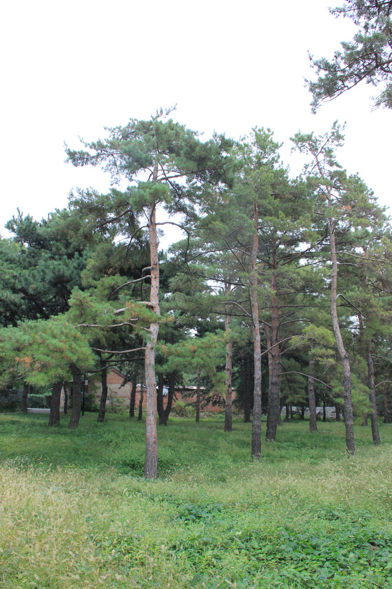 1644630988133695.jpg IMG_8653a.jpg